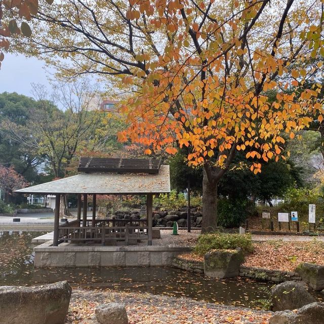 下園公園看紅葉