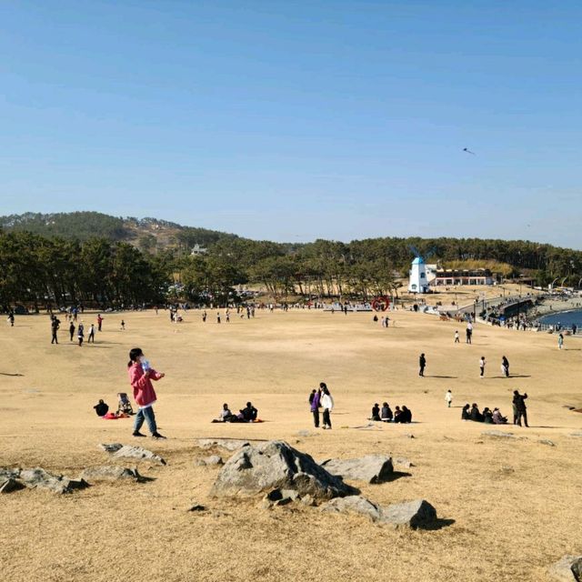 겨울 바다를 보며 걷기 좋았던 울산 간절곶