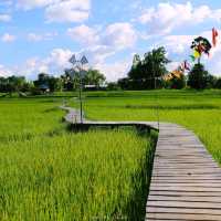 ทุ่งนา สะพานไม้ ใบเสมาหินโบราณ เต่างอย สกลนคร