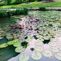 Singapore Botanical Gardens 