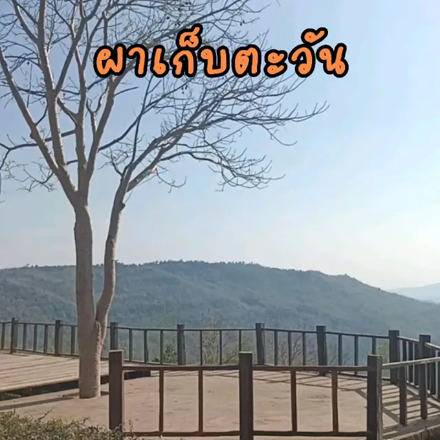 🏞ผาเก็บตะวัน อุทยานแห่งชาติทับลาน