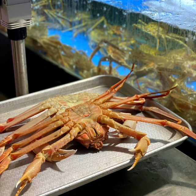강릉 스키다시 푸짐한 대게맛집 🦀