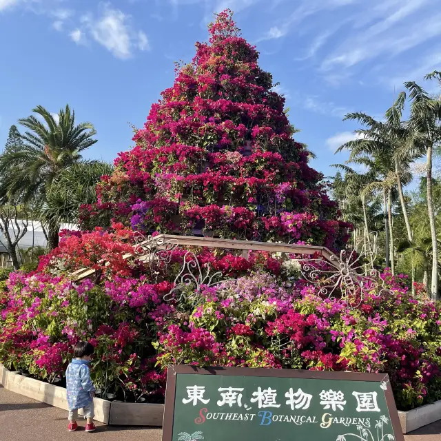 緑いっぱい　沖縄東南植物楽園