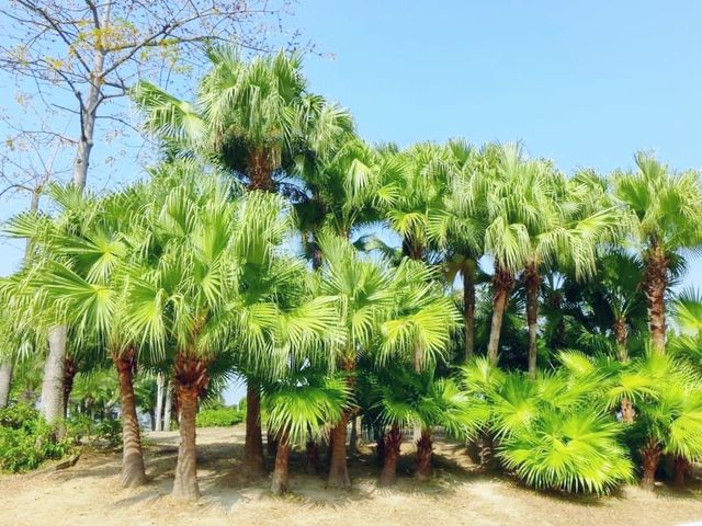 馬鞍山無敵海景