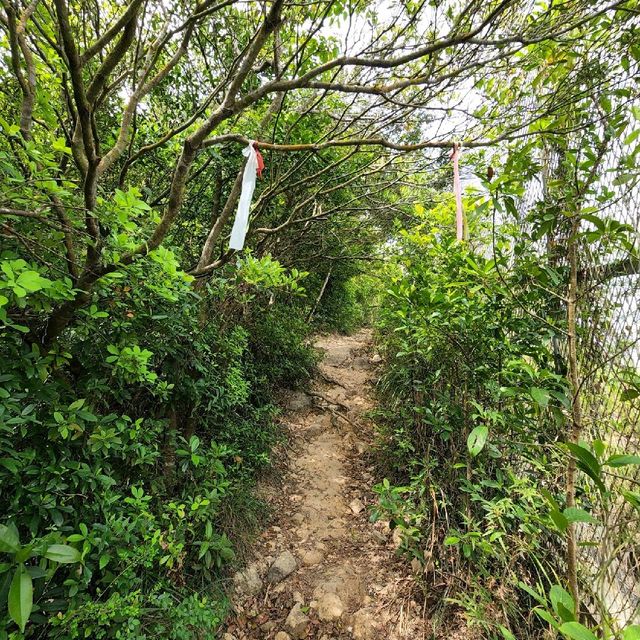 玉桂山