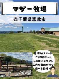 動物だけじゃない！[満開のお花畑&超お得なチケット付き！]マザー牧場行く前にチェック！