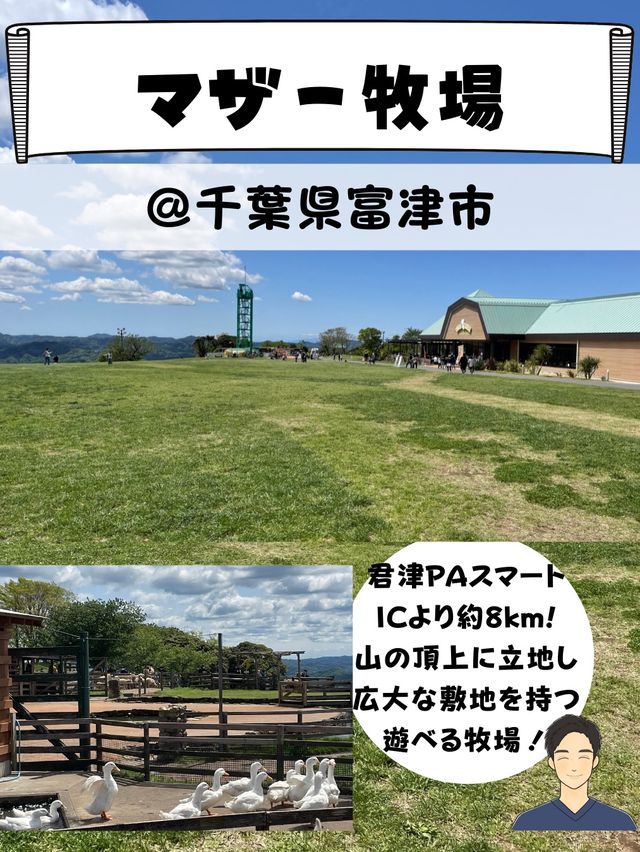 動物だけじゃない！[満開のお花畑&超お得なチケット付き！]マザー牧場行く前にチェック！