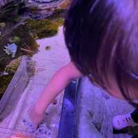 Legoland