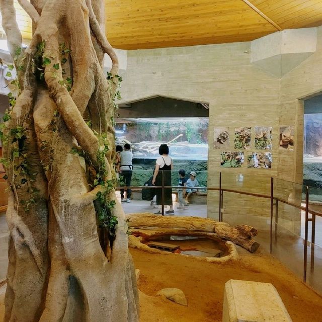 いろんなカメがいる！京都市動物園　熱帯館