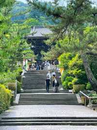 「長谷寺」の「紫陽花回廊」in 奈良