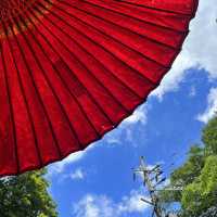 【京都】夏の涼を求めて訪れたい場所