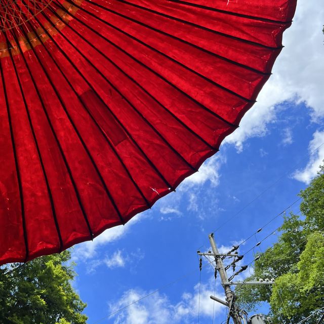 【京都】夏の涼を求めて訪れたい場所