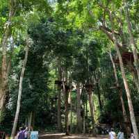 Green Jungle park 