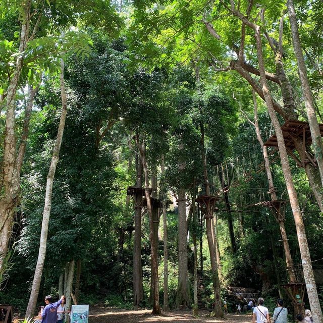 Green Jungle park 