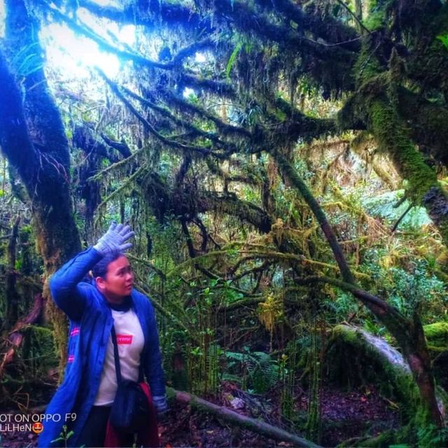 Mt. Pulag, Benguet Province