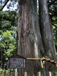 【長野・長野市】戸隠神社５社巡り③（2）