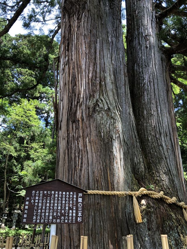 【長野・長野市】戸隠神社５社巡り③（2）