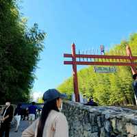 Juknokwon Bamboo Forest