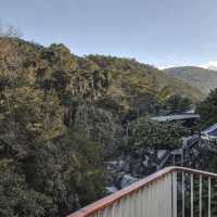 Taryn Tara Cafe and Stay แม่กำปอง เชียงใหม่
