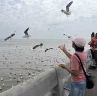 Feed the birds @Bangpu Recreation Center