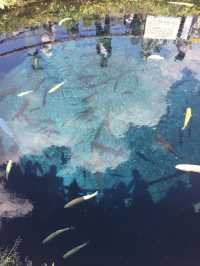 東京攻略 忍野八海