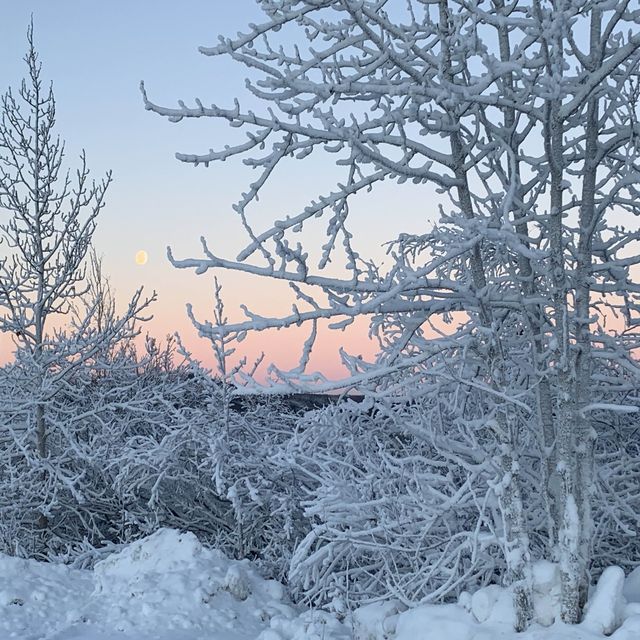 -50 Fahrenheit is very common here