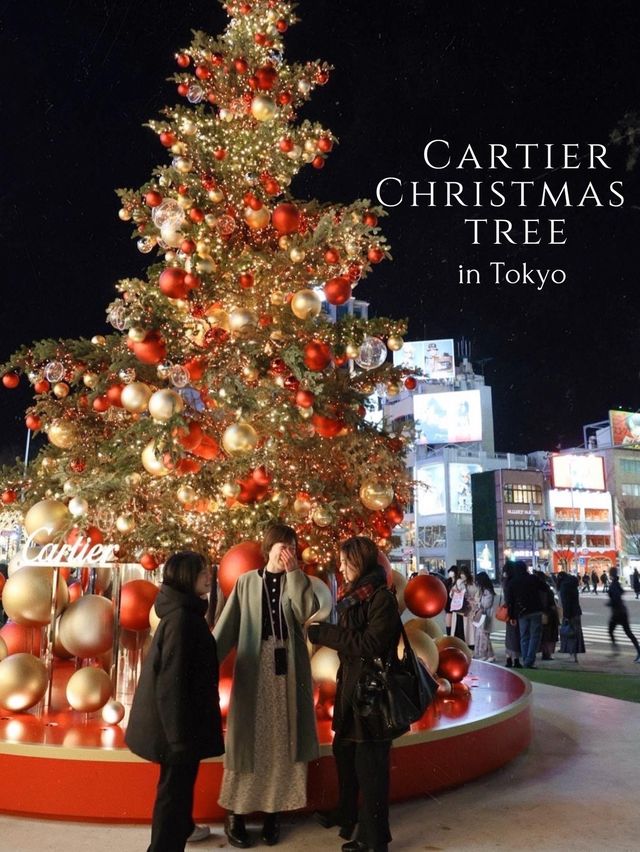 【表参道】クリスマスツリーが素敵！