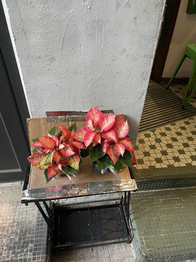 懷舊特色cafe