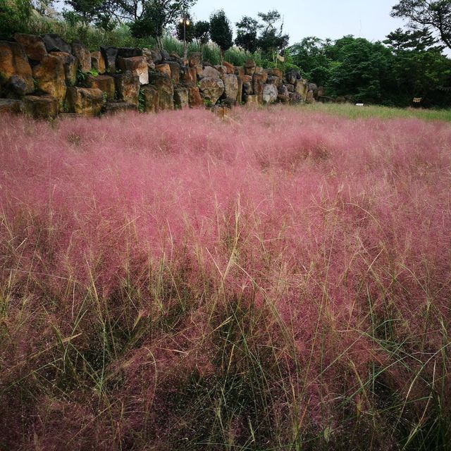 🌸粉紅色的💕心🌷🌸