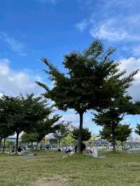 [서울 여행 - 여의도 한강공원]