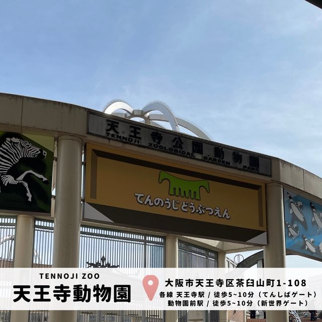 天王寺動物園｜都会の真ん中に動物園があります🐯