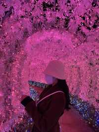 파주의 아름다운 볼거리 :: 퍼스트가든
