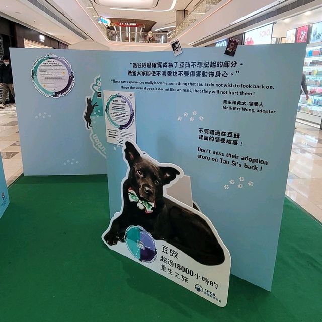 The Peak 山頂廣場 一 香港寵物友善商場 