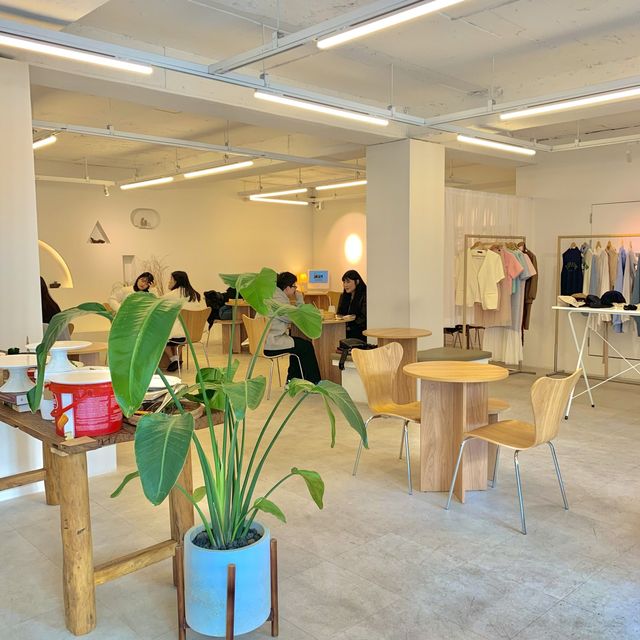 [🇰🇷, 창원]가로수길 쇼룸 감성의 핫한 카페, 가로수먼트 ☕️👚