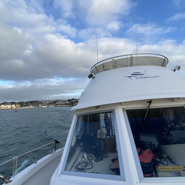 Fishing in Cascais Portugal 🇵🇹 