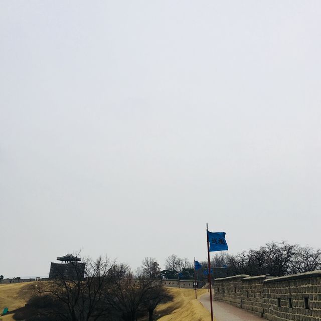 수원 행궁을 내려다 볼 수 있는 플라잉수원🎈