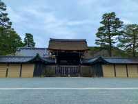 京都　KYOTO SAKURAめぐり❗️京都御苑の車返桜に感動❗️