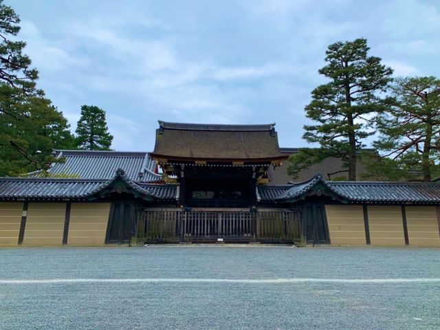 京都　KYOTO SAKURAめぐり❗️京都御苑の車返桜に感動❗️