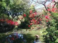 城門谷賞花好去處