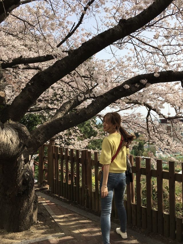 부산 해운대 달맞이길 걸어서 구경하기 