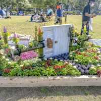 山下公園の花壇展示散策