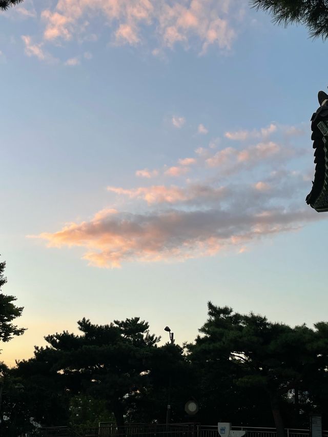 응봉산에서 노을구경 & 야경구경