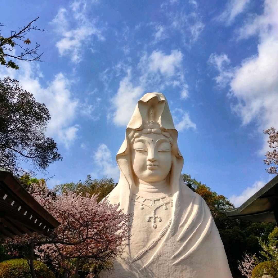 Yokosuka Travel Guide 2024 Things to Do, What To Eat & Tips