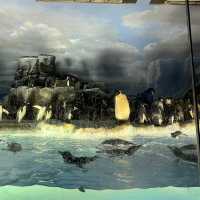 名古屋港水族館🐟