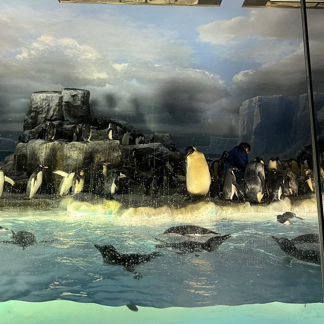 名古屋港水族館🐟