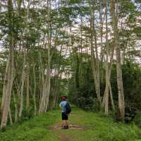 Hiking the rail corridor