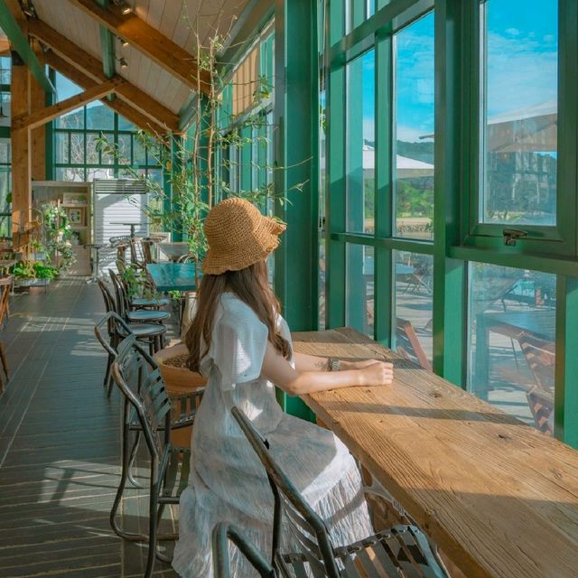 📸 [거제카페 외도널서리]에서 인생샷을 찍고싶다면 주목!
