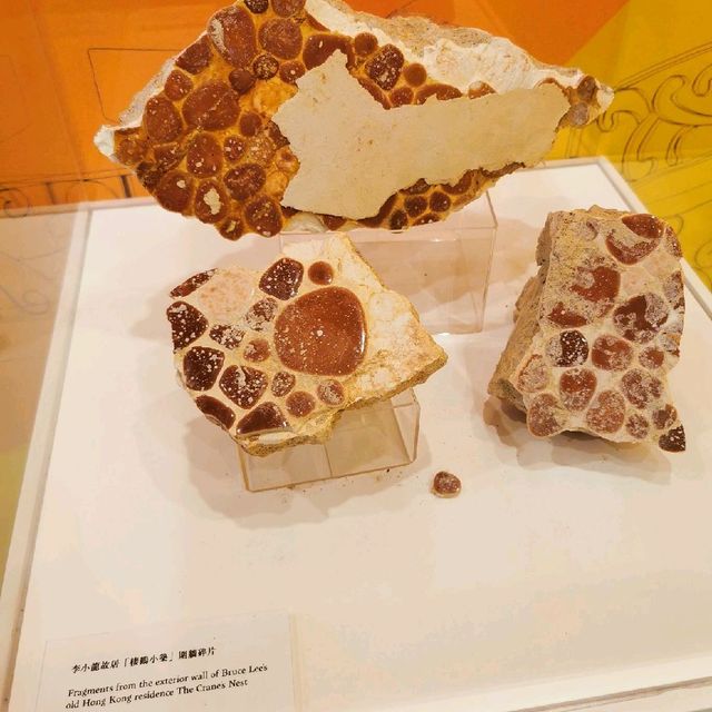 銅鑼灣李小龍故居復現企劃---擬遊未盡人氣展覽🔥🔥🔥
