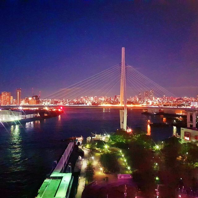 🎡 112.5m에서 바라보는 전망, 덴포잔 대관람차