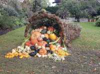 Horniman Garden